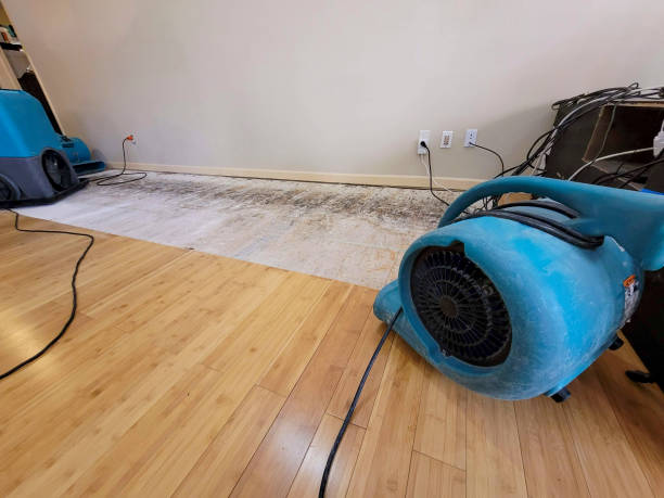 Professional Water Extraction technician working in Oak Park, MN